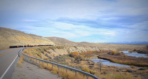 Driving Along Hwy. 351. Photo by Terry Allen.