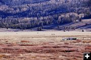 Riding Out to the Livestock. Photo by Terry Allen.