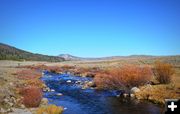 Tributary of the Green. Photo by Terry Allen.