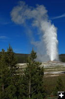 Old Faithful. Photo by Fred Pflughoft.