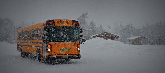 Getting the Kids Home. Photo by Terry Allen.