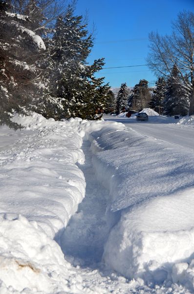 Sidewalk to No Where. Photo by Terry Allen.