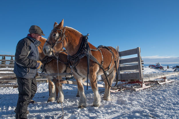 Team and sled. Photo by Arnold Brokling.