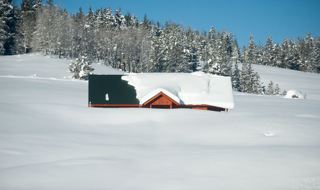 Almost buried. Photo by Kaylynne Hyde.