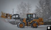 Robert J. clearing a lot. Photo by Terry Allen.