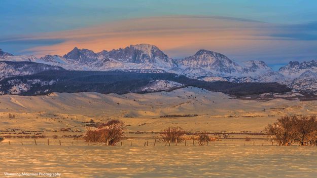 Fremont Glory. Photo by Dave Bell.