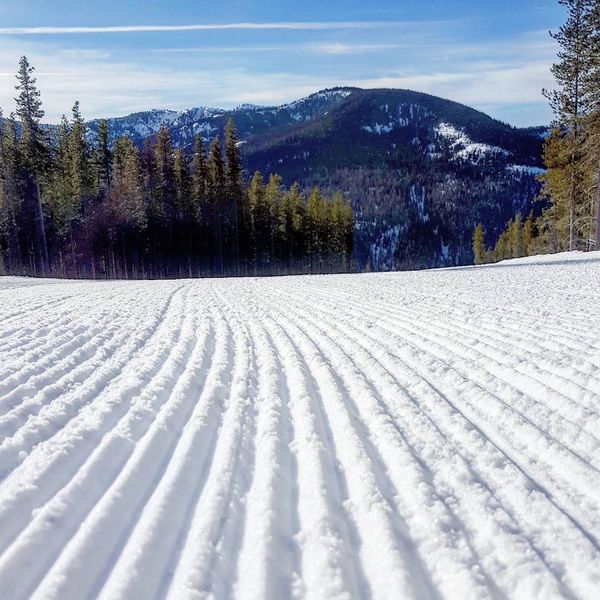 Corduroy. Photo by White Pine Resort.