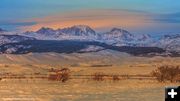 Fremont Glory. Photo by Dave Bell.