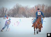 Valiant Horse. Photo by Terry Allen.