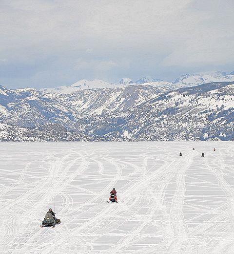 Coming in. Photo by Terry Allen.