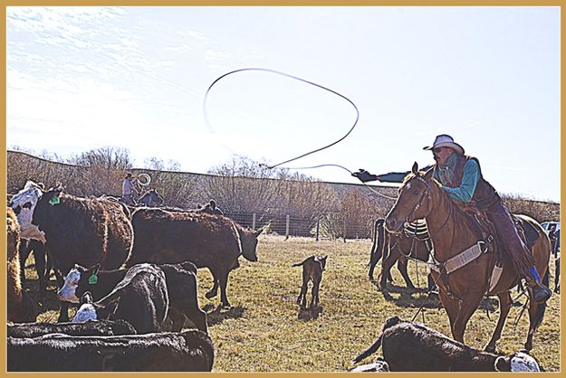 Throwing a Loop. Photo by Terry Allen.