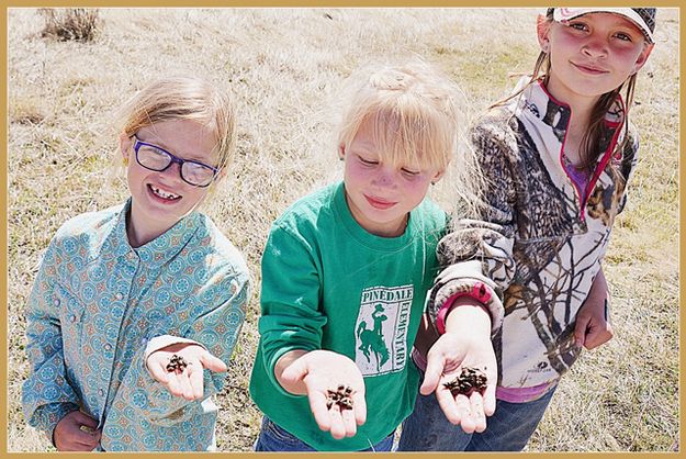 Snail Hunters. Photo by Terry Allen.