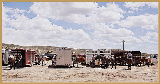 Tying Up at Horse Trailers Before Lunch. Photo by Terry Allen.