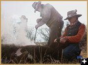 Applying the Iron. Photo by Terry Allen.