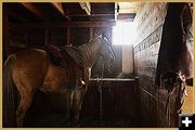 Branding Done, Horse Being Fed, Chaps Hung Up. Photo by Terry Allen.