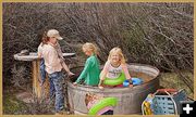 Horse Trough Swimming Hole. Photo by Terry Allen.