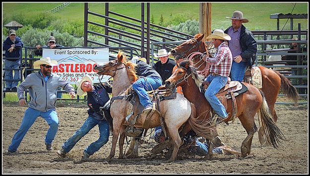 A Whole Lotta Help. Photo by Terry Allen.