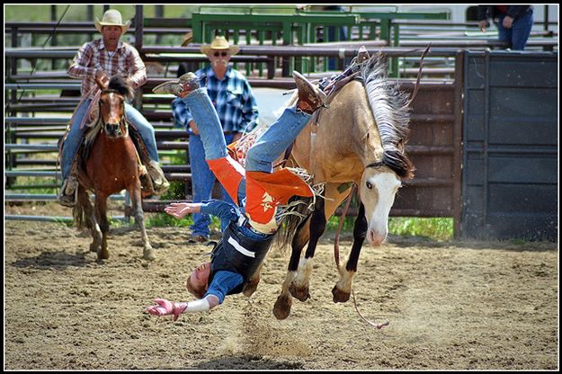 Buck Off. Photo by Terry Allen.