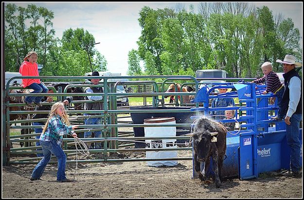 Throw the Rope, Throw up Dust. Photo by Terry Allen.