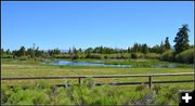 Lower Boyd Skinner Park. Photo by Terry Allen.