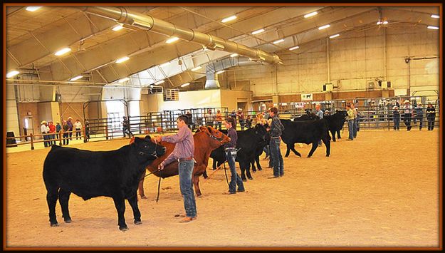 Finalists in Bred and Raised. Photo by Terry Allen.