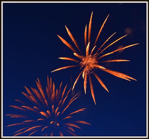 Fireworks. Photo by Terry Allen.