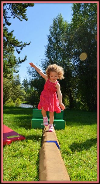 Scarlett on the Agility Course. Photo by Terry Allen.