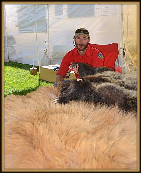 Kole and Bear Pelts. Photo by Terry Allen.