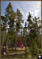 Tipi in the Woods. Photo by Terry Allen.