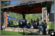 Palomino Breakdown in the Park. Photo by Terry Allen.