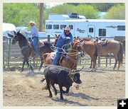 Throwing for the Head. Photo by Terry Allen.