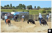 Bucking Heel. Photo by Terry Allen.