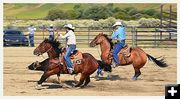 Flying Mane. Photo by Terry Allen.