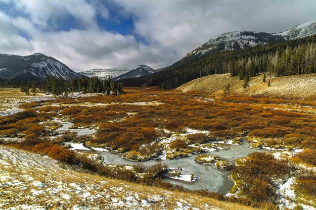 Cottonwood Creek. Photo by Dave Bell.