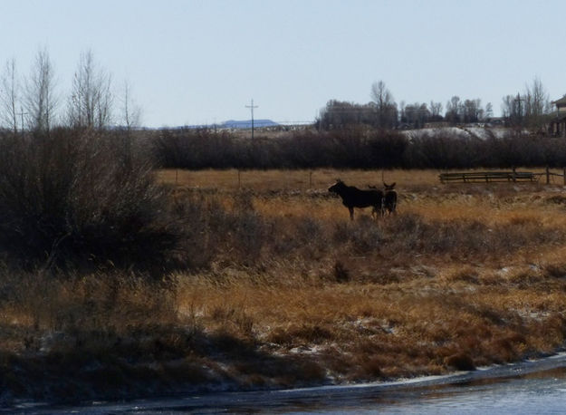 Waiting for others. Photo by Dawn Ballou, Pinedale Online.