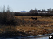 Waiting for others. Photo by Dawn Ballou, Pinedale Online.