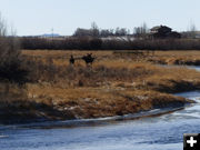 3 on the bank. Photo by Dawn Ballou, Pinedale Online.