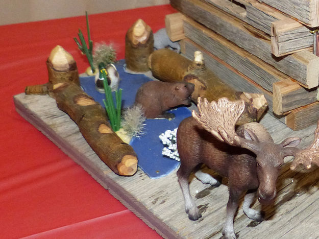 Beaver Chews & Moose. Photo by Dawn Ballou, Pinedale Online.