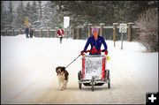 Amber Pushing Snow. Photo by Terry Allen.