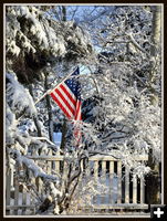 First Big Snow. Photo by Terry Allen.