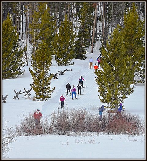 Uphill for the Long Course. Photo by Terry Allen.