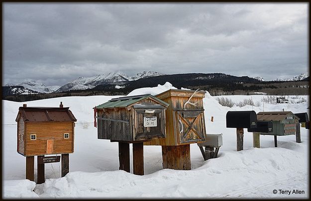 Racing Neighborhood. Photo by Terry Allen.