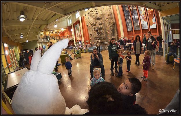 Bunny Eye View. Photo by Terry Allen.