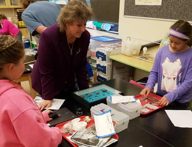 4th graders. Photo by 4th grade students involved Andeavor's Kris Bachelor in a Wildlife Mysteries evidence case in life science STEM..