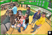 Half-Time Means Donkey Petting Time. Photo by Terry Allen.