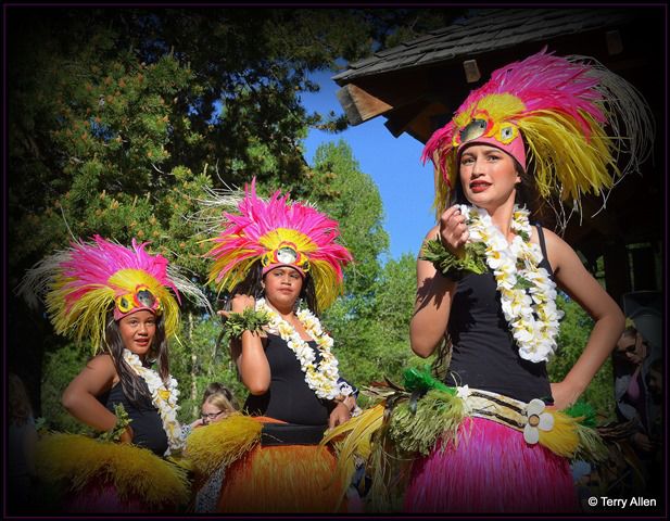 Three Girl Hula Story. Photo by Terry Allen.