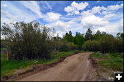 Out from the park. Photo by Terry Allen.