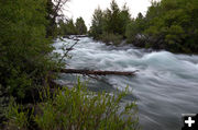 Pine Creek roaring. Photo by Arnold Brokling.