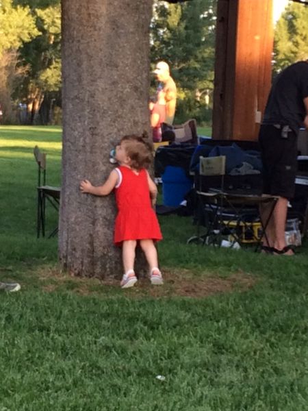 Hug a tree. Photo by Mindi Crabb.