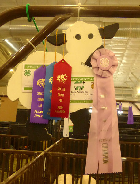 Callie's ribbons. Photo by Dawn Ballou, Pinedale Online.